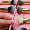 Best P.Louise #143 Blending Brush Single Brushes