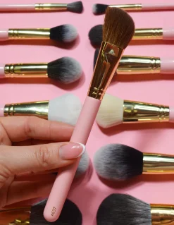 Flash Sale P.Louise #637 Brush Single Brushes