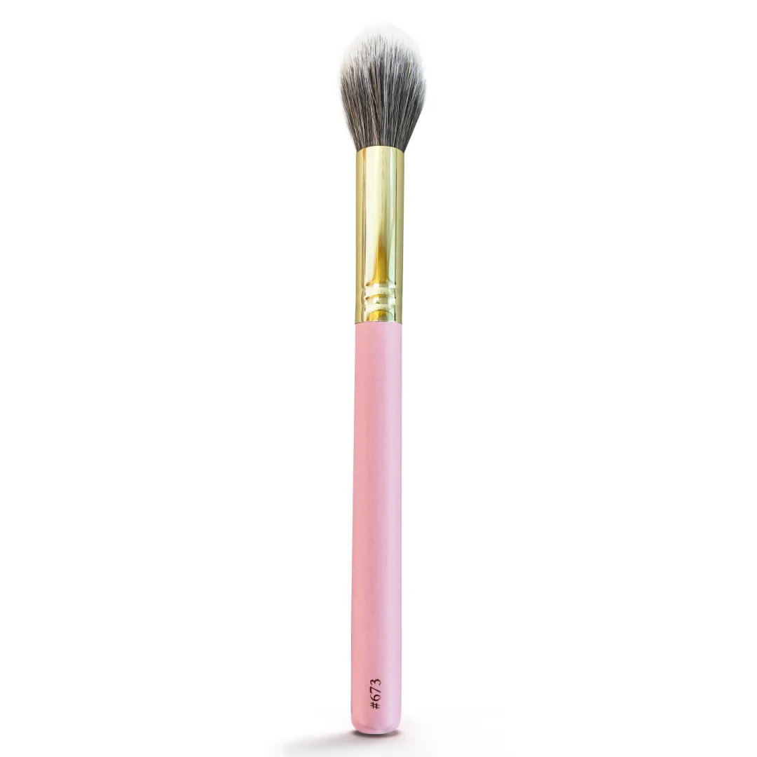 Cheap P.Louise #673 Medium Multi-use Face Brush Single Brushes