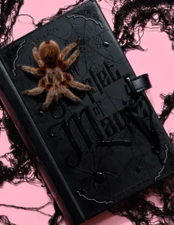 Cheap P.Louise A Droplet Of Magic Palette Palettes