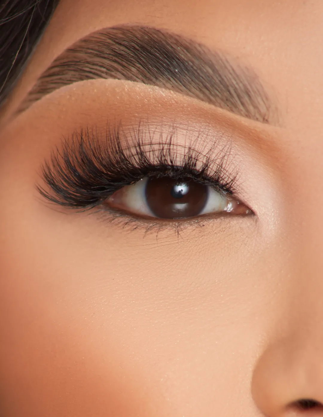 New P.Louise Lashes - Alluring Affair Lashes