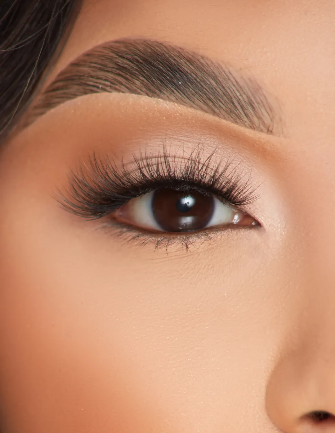 Cheap P.Louise Lashes - Beaming Bliss Lashes