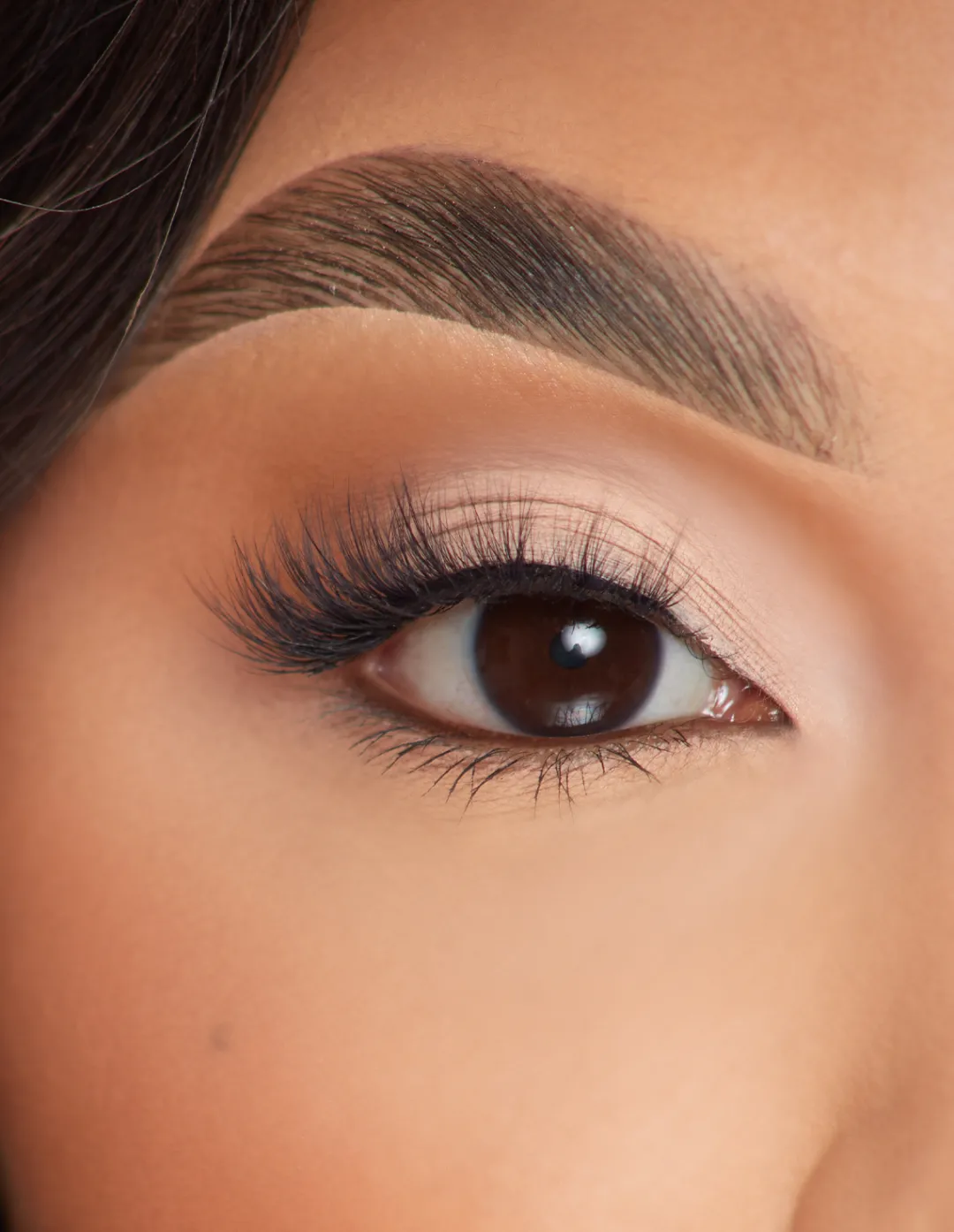 Online P.Louise Lashes - Fairy Fluff Lashes