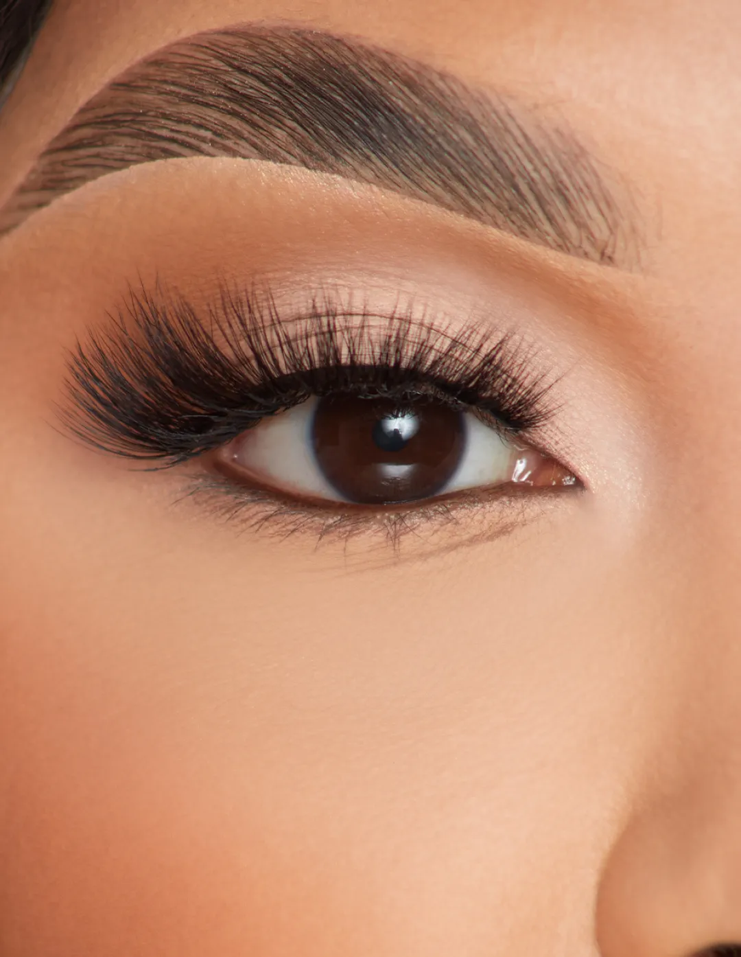 Best Sale P.Louise Lashes - Feather Flair Lashes