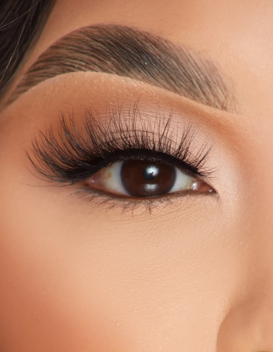 Clearance P.Louise Lashes - Foxy Flicks Lashes