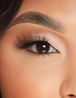 Store P.Louise Lashes - Gaze For Days Lashes