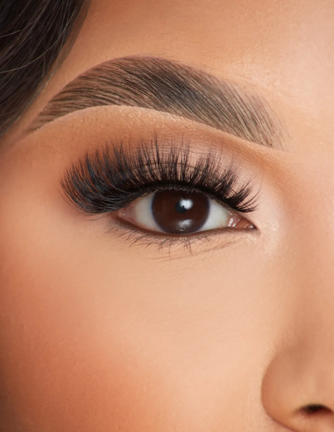 Cheap P.Louise Lashes - Lashed In Love Lashes