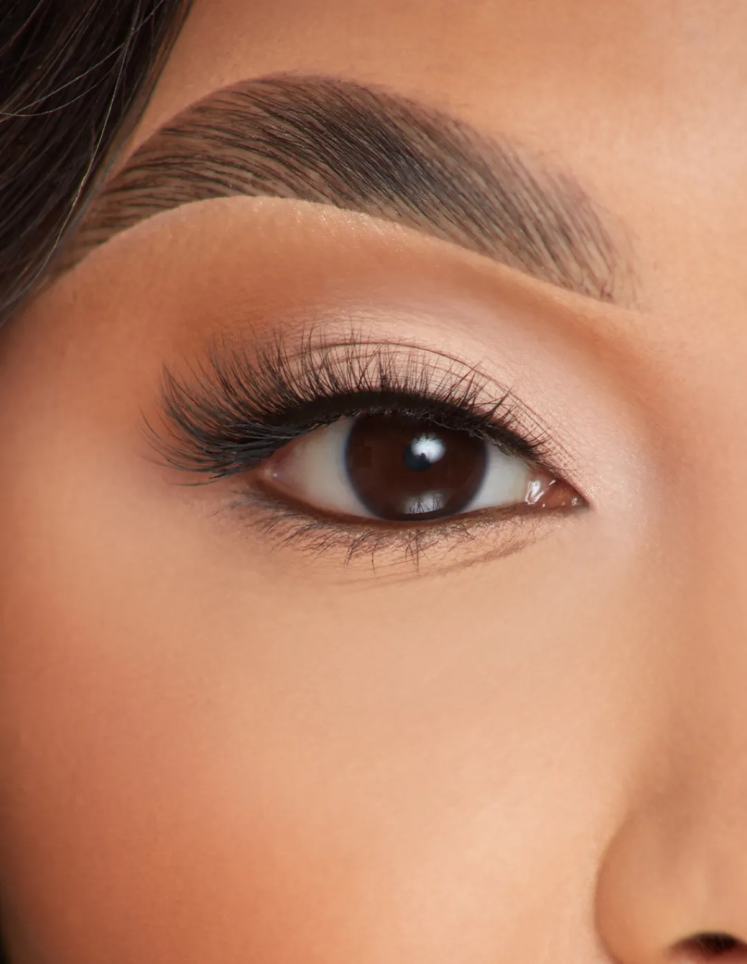 Shop P.Louise Lashes - Lasting Lust Lashes