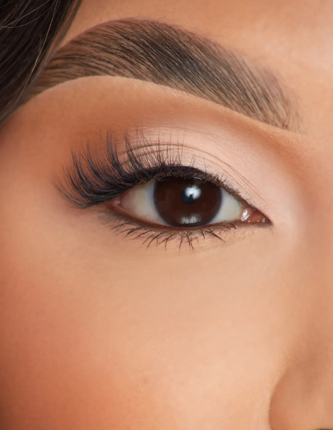 Clearance P.Louise Lashes - Side Eye Lashes