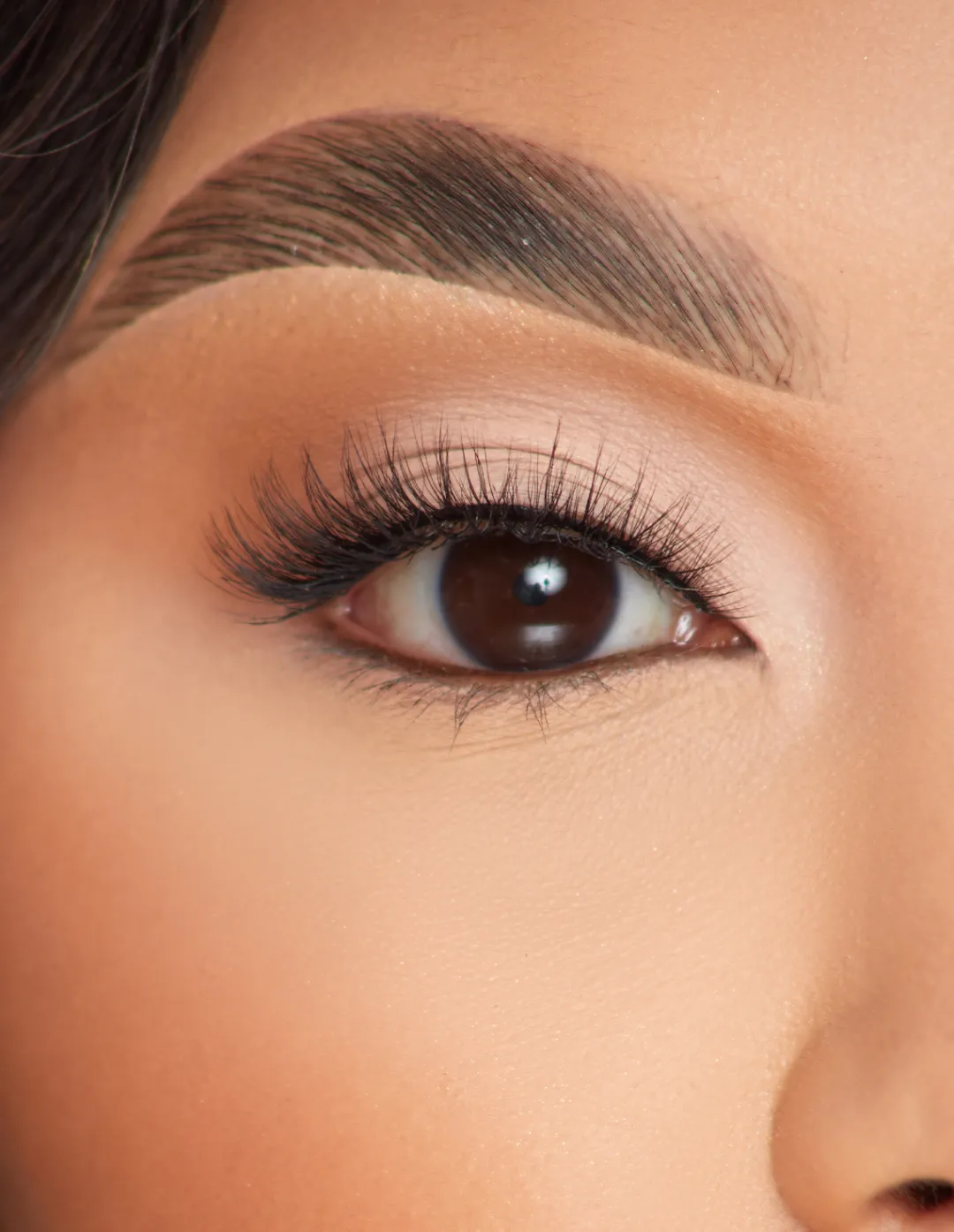 Online P.Louise Lashes - So Graceful Lashes