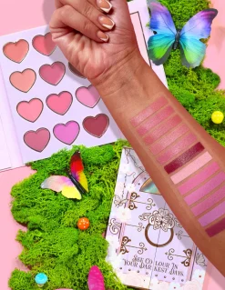 Online P.Louise See Colour In Your Darkest Days Blusher Palette Blush