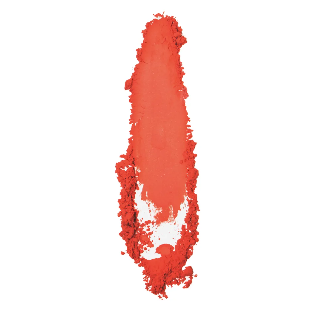 Cheap P.Louise The Cheek Of It - Loose Powder Blush Blush